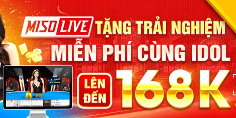 Trải nghiệm Live với Miso88