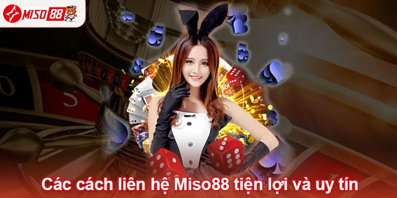 Các cách liên hệ Miso88 tiện lợi và uy tín