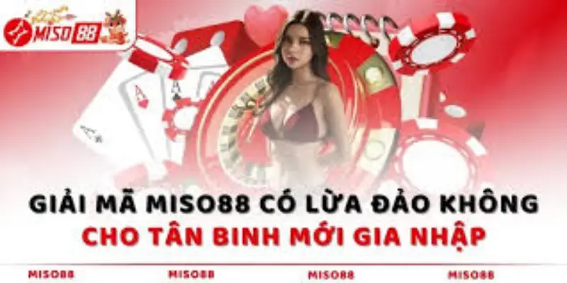 Tin đồn Miso88 lừa đảo có thể từ đối thủ mà ra